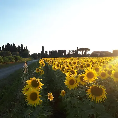 Il Bosco Country house Donoratico