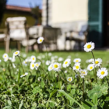 Country house Il Bosco Donoratico
