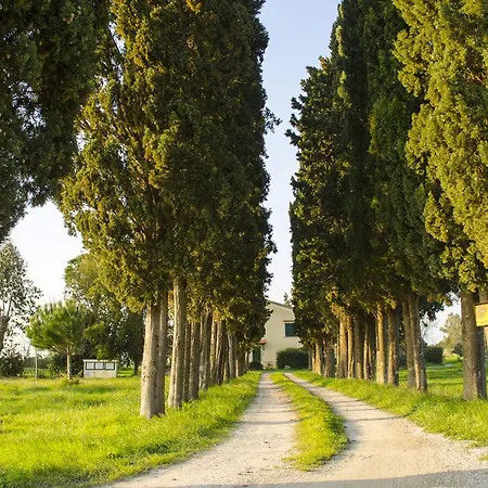 Il Bosco