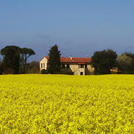 Country house Il Bosco Donoratico