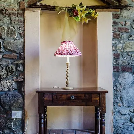 Il Bosco Donoratico