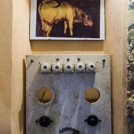 Il Bosco Country house Donoratico