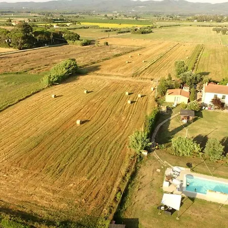 Il Bosco