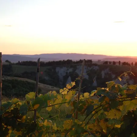 Il Bosco Country house Donoratico
